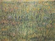 Vincent Van Gogh Pasture in Bloom (nn04) Spain oil painting reproduction